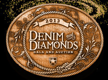 Items for Silent Auction of the Denim & Diamonds Gala benefiting Achievers' Center for Education!