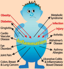 Inflammation is at the root of all these problems.  Quench it with the 4 P's!