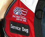 End of year donation to Patriot Paws who trains service dogs for PTSD affected veterans!