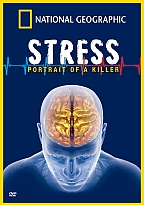 Stress can fry your brain!  Don't doubt it!