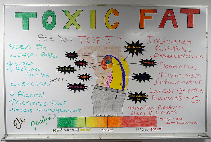 A Great Toxic Fat Whiteboard by Eli and Jaclyn!