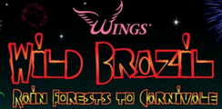 Wings, Helping Breast Cancer patients and their families